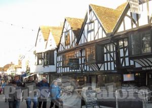 Picture of Golden Lion