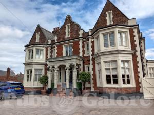 Picture of Mulberry Tree