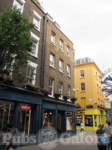 Picture of Bulls Head
