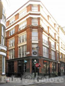 Picture of Bulls Head
