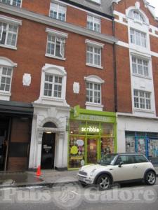 Picture of Golden Lion