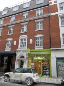 Picture of Golden Lion