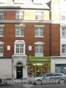 Picture of Golden Lion