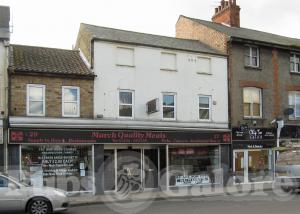 Picture of Golden Lion