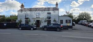 Picture of The Badger