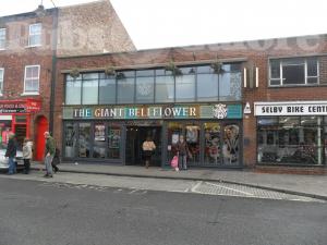 Picture of The Giant Bellflower (JD Wetherspoon)