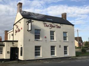 Picture of The Yew Tree