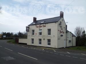 Picture of The Yew Tree