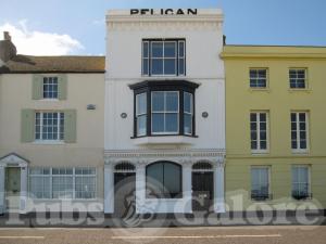 Picture of Pelican