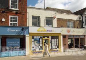 Picture of Golden Lion