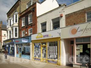 Picture of Golden Lion