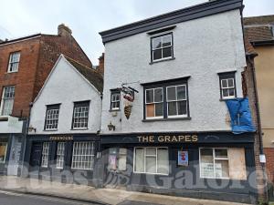 Picture of The Grapes