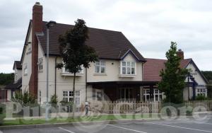 Picture of The Woodman