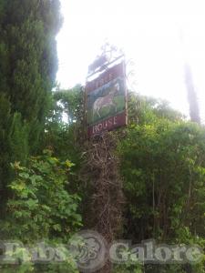 Picture of The White Horse