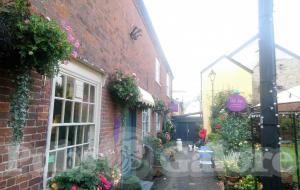 Picture of Vine Inn