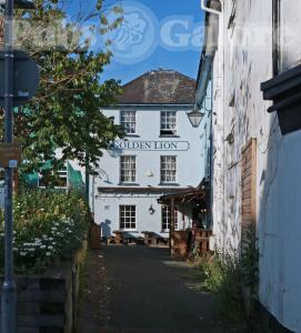 Picture of The Golden Lion