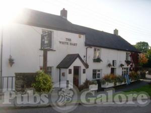 Picture of White Hart Inn