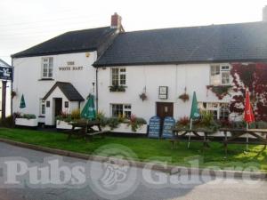 Picture of White Hart Inn