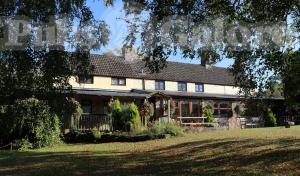 Picture of Dog & Muffler Inn