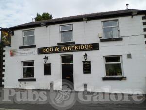 Picture of Dog & Partridge