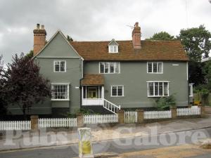 Picture of Royal Oak