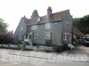 Picture of Royal Oak