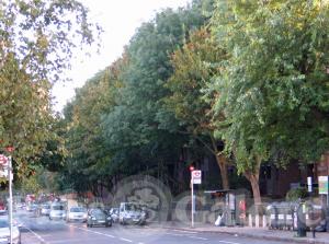 Picture of The Ponsford Arms