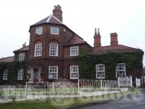 Picture of The Mucky Duck
