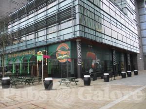 Picture of The Salmon Of Knowledge