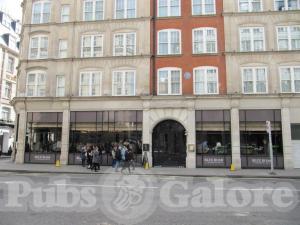 Picture of Blue Boar