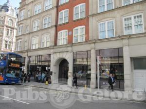 Picture of Blue Boar
