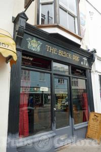 Picture of The Black Dog