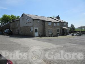 Picture of The Yew Tree