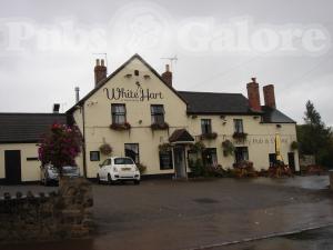 Picture of White Hart