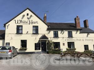 Picture of White Hart