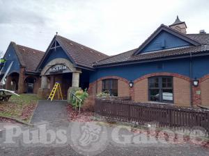 Picture of The Black Bear