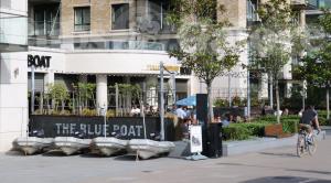 Picture of The Blue Boat