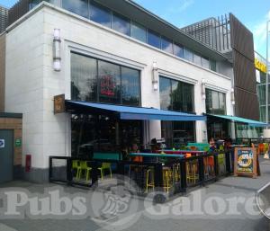 Picture of Turtle Bay