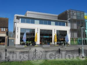 Picture of Turtle Bay