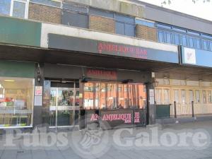 Picture of Anjelique Bar