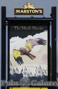 Picture of Marsh Harrier