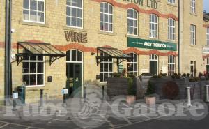 Picture of Vine