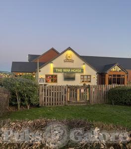 Picture of The War Horse