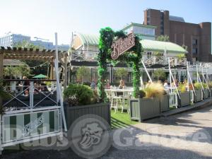Picture of The Botanist