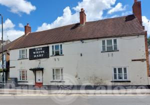 Picture of The White Hart