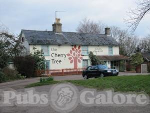 Picture of The Cherry Tree