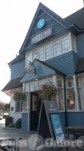 Picture of Hop Pole