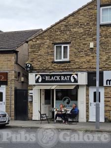 Picture of The Black Rat