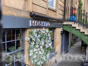 Picture of Moskito