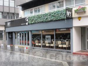 Picture of The Ivy